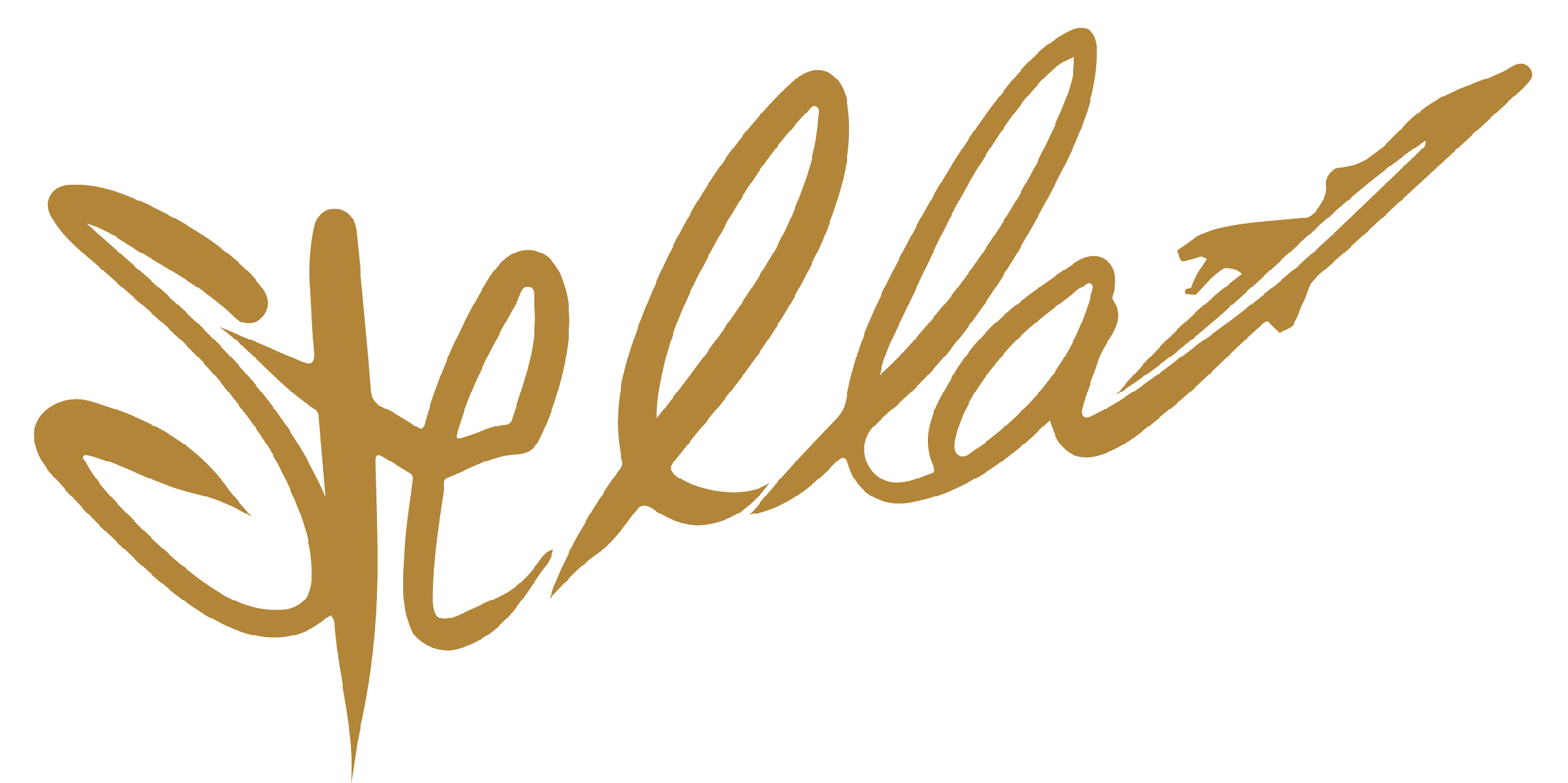 Stella Jets | Stella Experiences